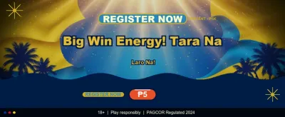 Become a Partner, Earn More!